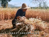 东秦百姓7月27日