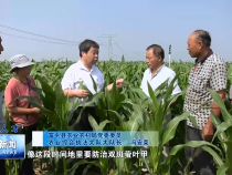 冯安荣：做实实在在的农业人