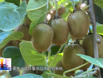 东秦百姓9月19日