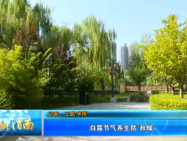 健康渭南9月8日