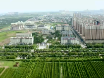 民政視點9月29日