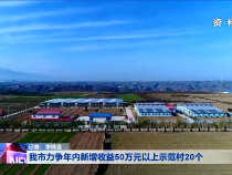 ​我市力争年内新增收益50万元以上示范村20个