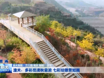 潼关：多彩岳渎秋意浓 七彩坮塬景如画
