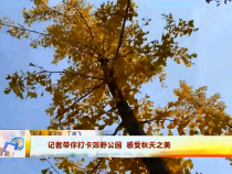 东秦百姓10月29日