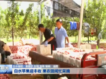 渭南新聞10月6日