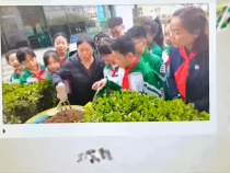 教育在线11月4日