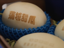 农家四季11月23日