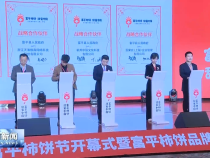 2022中国富平柿饼节暨首届富平柿饼全球经销商大会开幕