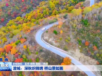 澄城：深秋织锦绣 桥山景如画