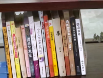 民政視點11月24日