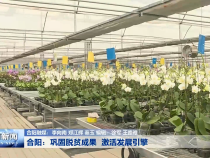 合阳：巩固脱贫成果 激活发展引擎