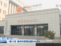 ​1至11月 我市外贸同比增长44.6%