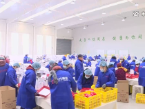 民政視點12月1日