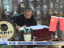刘小强： 返乡创业共致富 小樱桃带动大产业