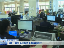 ​1至11月份 全市财政金融运行良好