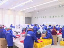 民政視點1月5日