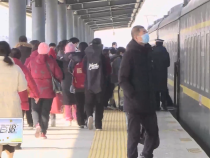 東秦百姓1月31日