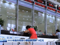 2022年我市发放小额担保贷款7.5亿元