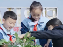教育在线1月3日