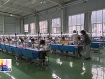 東秦百姓1月16日