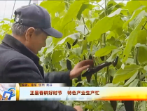 東秦百姓2月17日