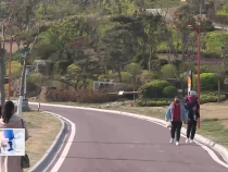 東秦百姓2月3日