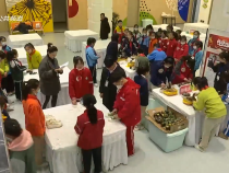 教育在线3月3日