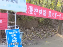 经济生活3月20日