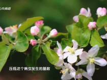 农家四季3月22日