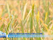 渭南新闻3月14日