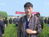 农家四季4月26日