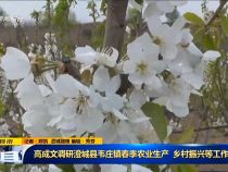 直通县市4月5日