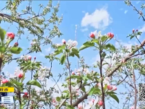 直通县市4月24日