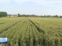渭南新闻5月18日