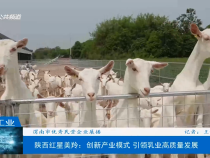 经济生活5月22日