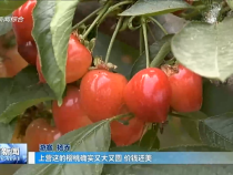 渭南新闻5月16日