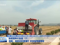 渭南新闻6月15日