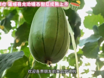 农家四季6月2日