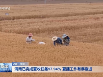 渭南新闻6月21日