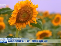 渭南新闻7月9日