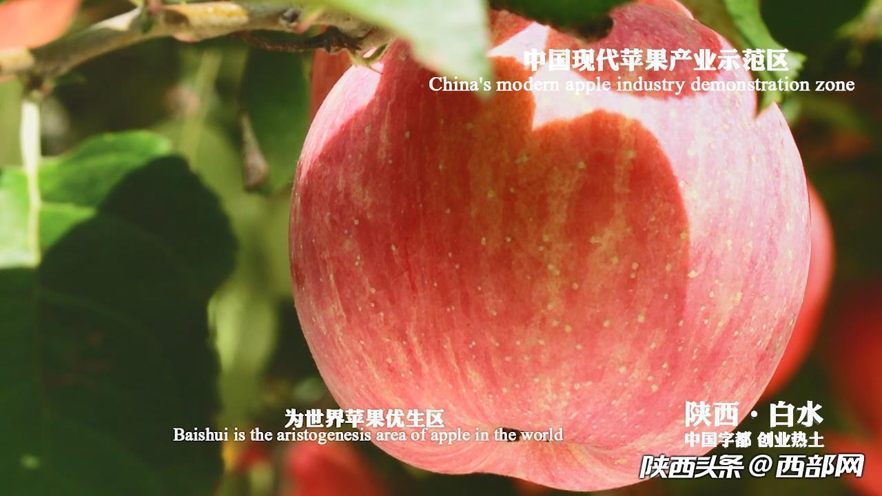 3c5301b5f17578419582d87a724133ba.jpeg